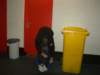 Photo Number 6